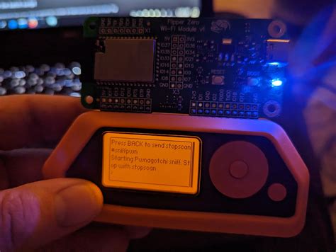 Fun things to try with your Flipper Zero (and wifi .